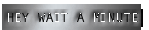 HEY WAIT A MINUTE